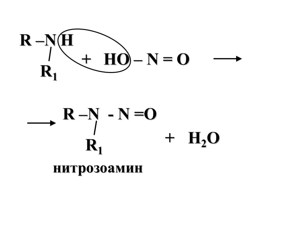 + HO – N = O + H2O нитрозоамин